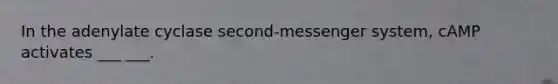 In the adenylate cyclase second-messenger system, cAMP activates ___ ___.