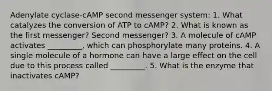 Adenylate cyclase-cAMP second messenger system: 1. What catalyzes the conversion of ATP to cAMP? 2. What is known as the first messenger? Second messenger? 3. A molecule of cAMP activates _________, which can phosphorylate many proteins. 4. A single molecule of a hormone can have a large effect on the cell due to this process called _________. 5. What is the enzyme that inactivates cAMP?