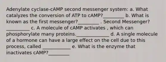 Adenylate cyclase-cAMP second messenger system: a. What catalyzes the conversion of ATP to cAMP?_________ b. What is known as the first messenger?_________ . Second Messenger? __________ c. A molecule of cAMP activates , which can phosphorylate many proteins.______________ d. A single molecule of a hormone can have a large effect on the cell due to this process, called ____________ e. What is the enzyme that inactivates cAMP?_________