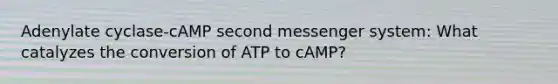 Adenylate cyclase-cAMP second messenger system: What catalyzes the conversion of ATP to cAMP?