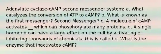 Adenylate cyclase-cAMP second messenger system: a. What catalyzes the conversion of ATP to cAMP? b. What is known as the first messenger? Second Messenger? c. A molecule of cAMP activates __ which can phosphorylate many proteins. d. A single hormone can have a large effect on the cell by activating or inhibiting thousands of chemicals, this is called e. What is the enzyme that inactivates cAMP?