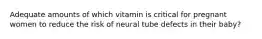 Adequate amounts of which vitamin is critical for pregnant women to reduce the risk of neural tube defects in their baby?