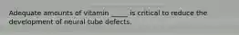 Adequate amounts of vitamin _____ is critical to reduce the development of neural tube defects.