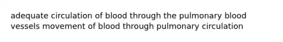 adequate circulation of blood through the pulmonary blood vessels movement of blood through pulmonary circulation