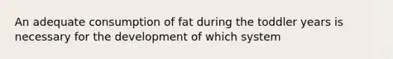 An adequate consumption of fat during the toddler years is necessary for the development of which system