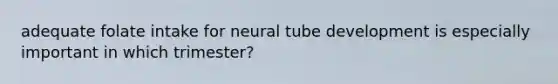 adequate folate intake for neural tube development is especially important in which trimester?