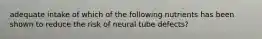 adequate intake of which of the following nutrients has been shown to reduce the risk of neural tube defects?