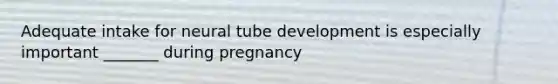 Adequate intake for neural tube development is especially important _______ during pregnancy