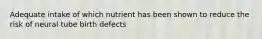 Adequate intake of which nutrient has been shown to reduce the risk of neural tube birth defects