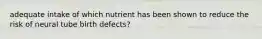 adequate intake of which nutrient has been shown to reduce the risk of neural tube birth defects?