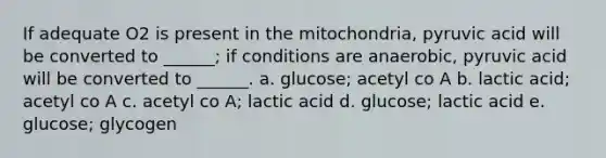 If adequate O2 is present in the mitochondria, pyruvic acid will be converted to ______; if conditions are anaerobic, pyruvic acid will be converted to ______. a. glucose; acetyl co A b. lactic acid; acetyl co A c. acetyl co A; lactic acid d. glucose; lactic acid e. glucose; glycogen