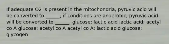 If adequate O2 is present in the mitochondria, pyruvic acid will be converted to ______; if conditions are anaerobic, pyruvic acid will be converted to ______. glucose; lactic acid lactic acid; acetyl co A glucose; acetyl co A acetyl co A; lactic acid glucose; glycogen