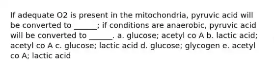 If adequate O2 is present in the mitochondria, pyruvic acid will be converted to ______; if conditions are anaerobic, pyruvic acid will be converted to ______. a. glucose; acetyl co A b. lactic acid; acetyl co A c. glucose; lactic acid d. glucose; glycogen e. acetyl co A; lactic acid