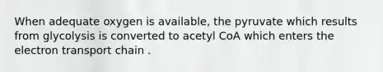 When adequate oxygen is available, the pyruvate which results from glycolysis is converted to acetyl CoA which enters the electron transport chain .