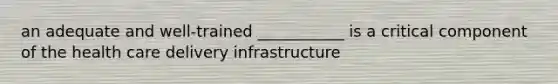 an adequate and well-trained ___________ is a critical component of the health care delivery infrastructure