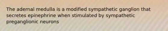 The adernal medulla is a modified sympathetic ganglion that secretes epinephrine when stimulated by sympathetic preganglionic neurons