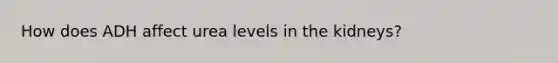 How does ADH affect urea levels in the kidneys?