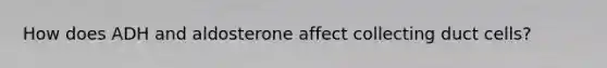 How does ADH and aldosterone affect collecting duct cells?