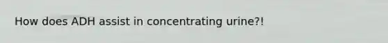 How does ADH assist in concentrating urine?!