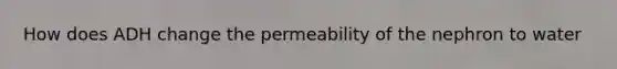 How does ADH change the permeability of the nephron to water