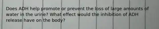 Does ADH help promote or prevent the loss of large amounts of water in the urine? What effect would the inhibition of ADH release have on the body?