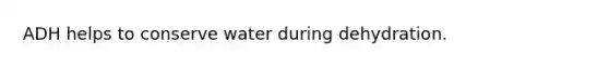 ADH helps to conserve water during dehydration.