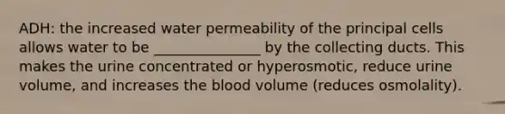 ADH: the increased water permeability of the principal cells allows water to be _______________ by the collecting ducts. This makes the urine concentrated or hyperosmotic, reduce urine volume, and increases the blood volume (reduces osmolality).