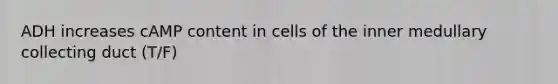 ADH increases cAMP content in cells of the inner medullary collecting duct (T/F)