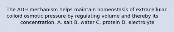 The ADH mechanism helps maintain homeostasis of extracellular colloid osmotic pressure by regulating volume and thereby its _____ concentration. A. salt B. water C. protein D. electrolyte