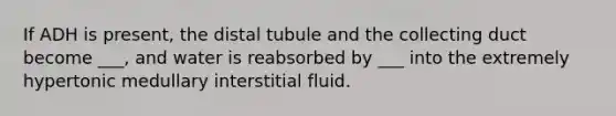 If ADH is present, the distal tubule and the collecting duct become ___, and water is reabsorbed by ___ into the extremely hypertonic medullary interstitial fluid.