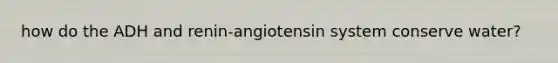 how do the ADH and renin-angiotensin system conserve water?