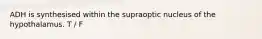 ADH is synthesised within the supraoptic nucleus of the hypothalamus. T / F