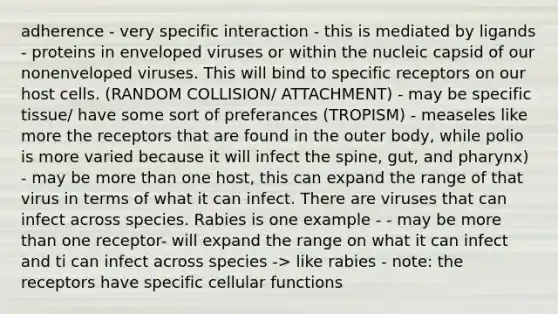 adherence - very specific interaction - this is mediated by ligands - proteins in enveloped viruses or within the nucleic capsid of our nonenveloped viruses. This will bind to specific receptors on our host cells. (RANDOM COLLISION/ ATTACHMENT) - may be specific tissue/ have some sort of preferances (TROPISM) - measeles like more the receptors that are found in the outer body, while polio is more varied because it will infect the spine, gut, and pharynx) - may be more than one host, this can expand the range of that virus in terms of what it can infect. There are viruses that can infect across species. Rabies is one example - - may be more than one receptor- will expand the range on what it can infect and ti can infect across species -> like rabies - note: the receptors have specific cellular functions