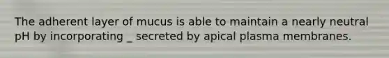 The adherent layer of mucus is able to maintain a nearly neutral pH by incorporating _ secreted by apical plasma membranes.