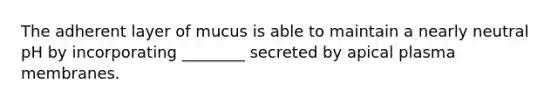 The adherent layer of mucus is able to maintain a nearly neutral pH by incorporating ________ secreted by apical plasma membranes.