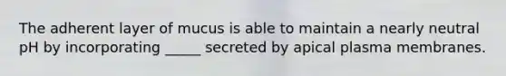 The adherent layer of mucus is able to maintain a nearly neutral pH by incorporating _____ secreted by apical plasma membranes.