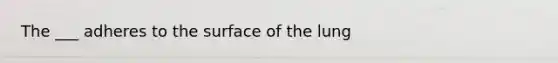 The ___ adheres to the surface of the lung