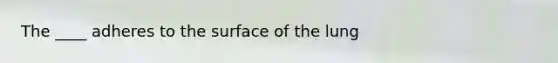 The ____ adheres to the surface of the lung