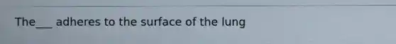 The___ adheres to the surface of the lung