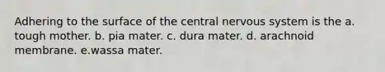 Adhering to the surface of the central nervous system is the a. tough mother. b. pia mater. c. dura mater. d. arachnoid membrane. e.wassa mater.