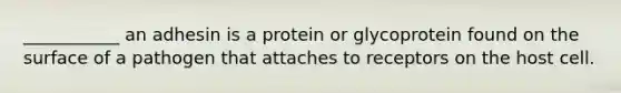 ___________ an adhesin is a protein or glycoprotein found on the surface of a pathogen that attaches to receptors on the host cell.