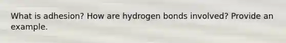 What is adhesion? How are hydrogen bonds involved? Provide an example.