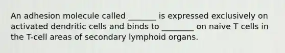 An adhesion molecule called _______ is expressed exclusively on activated dendritic cells and binds to ________ on naive T cells in the T-cell areas of secondary lymphoid organs.