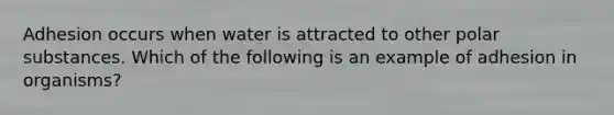 Adhesion occurs when water is attracted to other polar substances. Which of the following is an example of adhesion in organisms?