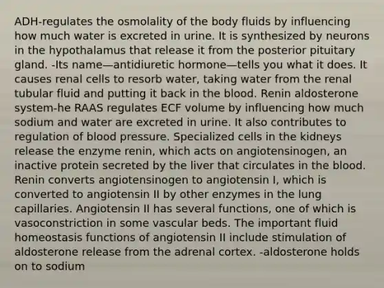 ADH-regulates the osmolality of the body fluids by influencing how much water is excreted in urine. It is synthesized by neurons in the hypothalamus that release it from the posterior pituitary gland. -Its name—antidiuretic hormone—tells you what it does. It causes renal cells to resorb water, taking water from the renal tubular fluid and putting it back in the blood. Renin aldosterone system-he RAAS regulates ECF volume by influencing how much sodium and water are excreted in urine. It also contributes to regulation of blood pressure. Specialized cells in the kidneys release the enzyme renin, which acts on angiotensinogen, an inactive protein secreted by the liver that circulates in the blood. Renin converts angiotensinogen to angiotensin I, which is converted to angiotensin II by other enzymes in the lung capillaries. Angiotensin II has several functions, one of which is vasoconstriction in some vascular beds. The important fluid homeostasis functions of angiotensin II include stimulation of aldosterone release from the adrenal cortex. -aldosterone holds on to sodium