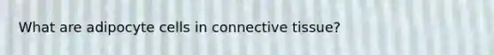 What are adipocyte cells in connective tissue?