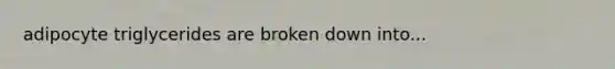 adipocyte triglycerides are broken down into...