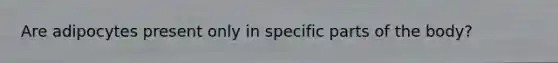 Are adipocytes present only in specific parts of the body?