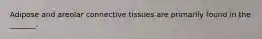Adipose and areolar connective tissues are primarily found in the _______.