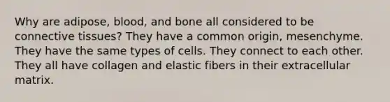 Why are adipose, blood, and bone all considered to be connective tissues? They have a common origin, mesenchyme. They have the same types of cells. They connect to each other. They all have collagen and elastic fibers in their extracellular matrix.